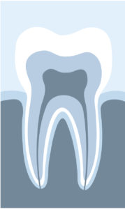 When’s the last time you visited your preventive dentist in Kent?